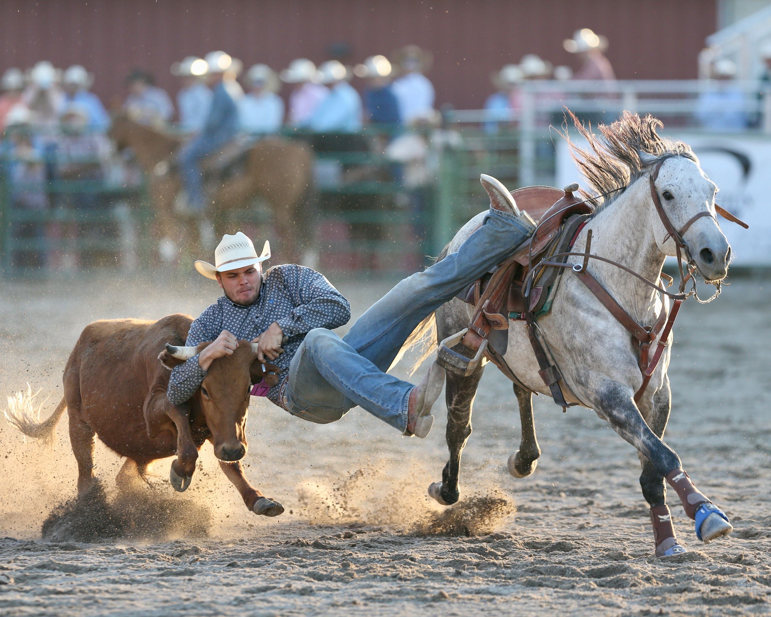 Man Performs Bull Doggin'